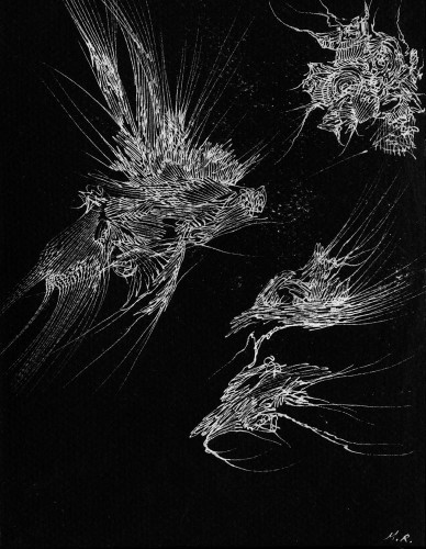 Michel Rouby : dessin encre blanche sur papier noir